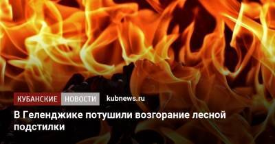 В Геленджике потушили возгорание лесной подстилки - kubnews.ru - Краснодарский край - Геленджик