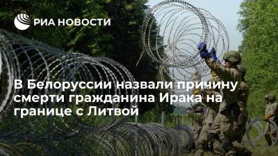 Александр Лукашенко - Белорусские эксперты: гражданин Ирака умер на белорусско-литовской границе из-за шока - ria.ru - Москва - Белоруссия - Ирак - Литва - Минск