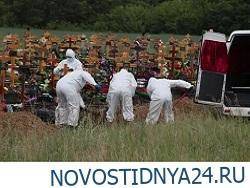 Родился, вакцинировался, умер - novostidnya24.ru