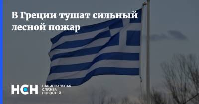 В Греции тушат сильный лесной пожар - nsn.fm - Греция