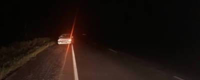 В Новосибирской области у села Криводановка ночью сбили пешехода - runews24.ru - Новосибирская обл.