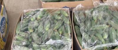 Цены на продукты в Украине: сколько стоят огурцы, помидоры, баклажаны, арбузы и дыни - w-n.com.ua - Украина - Херсонская обл.