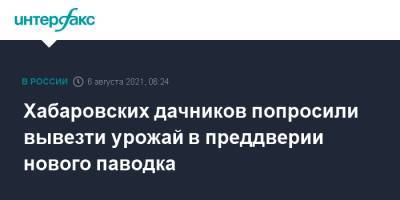 Хабаровских дачников попросили вывезти урожай в преддверии нового паводка - interfax.ru - Москва - Хабаровск