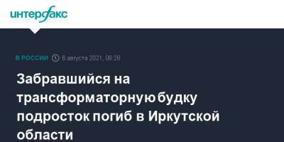 Забравшийся на трансформаторную будку подросток погиб в Иркутской области - interfax.ru - Москва - Иркутская обл.