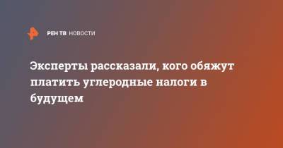 Эксперты рассказали, кого обяжут платить углеродные налоги в будущем - ren.tv - Экология