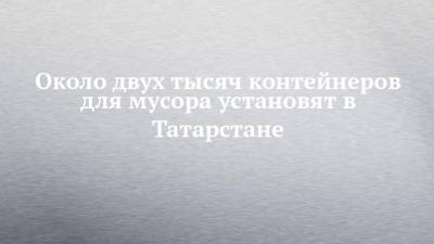 Около двух тысяч контейнеров для мусора установят в Татарстане - chelny-izvest.ru - респ. Татарстан