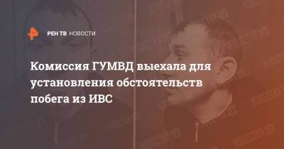 Александр Мавриди - Александр Бутнару - Иван Цуркану - Комиссия ГУМВД выехала для установления обстоятельств побега из ИВС - ren.tv - Россия - Московская обл. - городское поселение Истра - Московская область