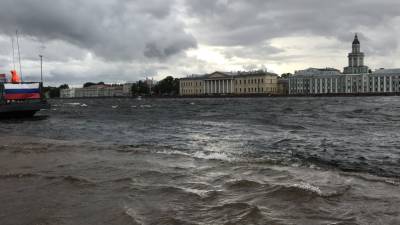 Петербуржцев предупредили о ветреной погоде 6 августа - inforeactor.ru - Ленинградская обл. - Санкт-Петербург - Челябинская обл.