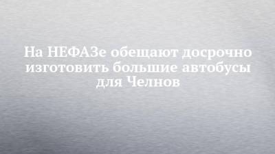 На НЕФАЗе обещают досрочно изготовить большие автобусы для Челнов - chelny-izvest.ru - Москва - Набережные Челны - Камаз