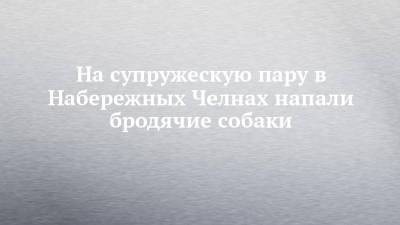 На супружескую пару в Набережных Челнах напали бродячие собаки - chelny-izvest.ru - Набережные Челны - Нижнекамск - Зябнуть