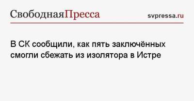 Ольга Врадий - Владимир Маругов - Александр Мавриди - В СК сообщили, как пять заключённых смогли сбежать из изолятора в Истре - svpressa.ru - Москва - Россия - Московская обл.