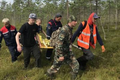 Волонтеры «ЛизаАлерт» в Петербурге и Ленобласти за июль отыскали 264 пропавших - spb.mk.ru - Ленинградская обл. - Санкт-Петербург