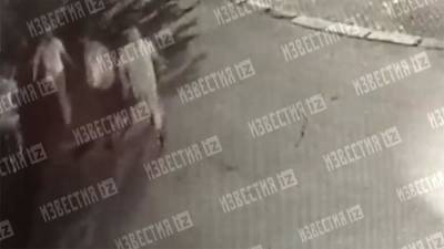 Опубликовано видео побега заключенных из изолятора в Истре - iz.ru - Израиль - Московская обл. - Истра