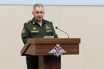 Сергей Шойгу - Шойгу рассказал о центрах антироссийской пропаганды в европейских городах - vm.ru - Россия - Рига - Варшава - Таллин