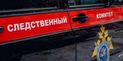 В Новосибирске проверяют данные о нападении на ребенка, получившего перелом позвоночника - runews24.ru - Новосибирск