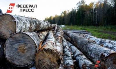 В Тюмени напиливший леса на 56 млн рублей бизнесмен пойдет под суд - fedpress.ru - Россия - Тюмень