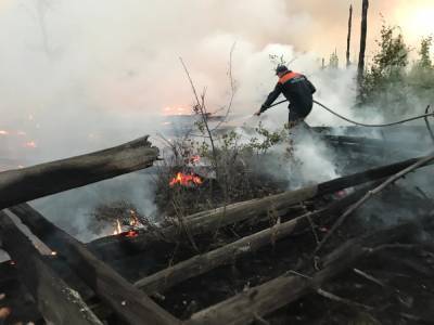 50 нижегородских пожарных помогают тушить заповедник в Мордовии - vgoroden.ru - Россия - Нижегородская обл. - республика Мордовия