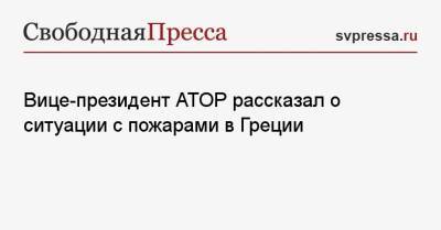 Дмитрий Горин - Вице-президент АТОР рассказал о ситуации с пожарами в Греции - svpressa.ru - Россия - Греция