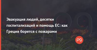 Владимир Зеленский - Эвакуация людей, десятки госпитализаций и помощь ЕС: как Греция борется с пожарами - thepage.ua - Украина - Турция - Греция - Twitter