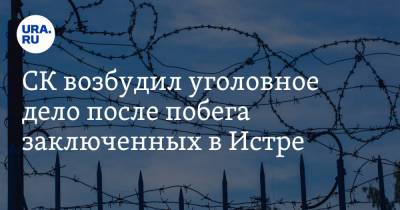 Ольга Врадий - Александр Мавриди - СК возбудил уголовное дело после побега заключенных в Истре - ura.news - Москва - Россия - Московская обл.
