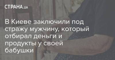 В Киеве заключили под стражу мужчину, который отбирал деньги и продукты у своей бабушки - strana.ua - Украина - Киев