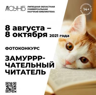 В объективе - котики. Липецкая библиотека запускает новый фотоконкурс - lipetskmedia.ru - Липецк