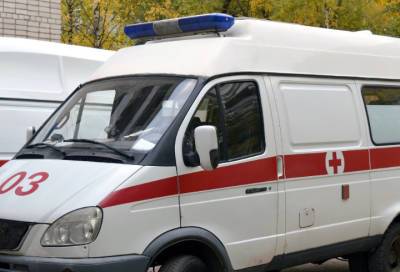 В Коммунаре сын распылил в лицо своей пожилой матери перцовый баллончик - online47.ru - Россия - Ленинградская обл. - Санкт-Петербург - р-н. Московский - район Гатчинский
