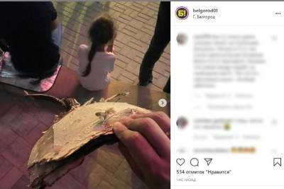 Белгородцы рассказали о кусках картона, упавших с неба во время салюта - mk.ru - Париж - Белгород