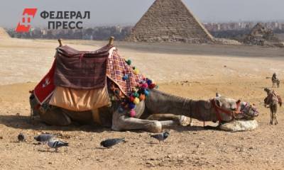 Что Египет может предложить туристам: ответ турэкспертов - fedpress.ru - Москва - Россия - Египет