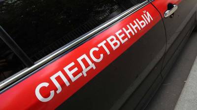 СК попросил арестовать выбросившего сына из окна москвича - iz.ru - Москва - Израиль