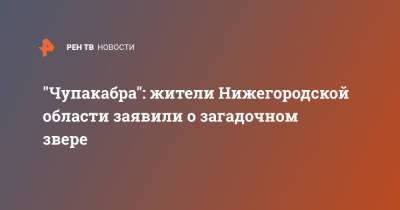 "Чупакабра": жители Нижегородской области заявили о загадочном звере - ren.tv - Нижегородская обл.