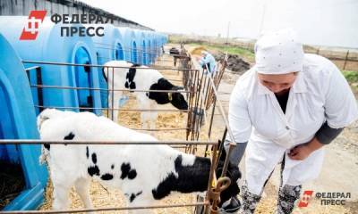 Вологодским аграриям помогут после летней засухи - fedpress.ru - Вологда