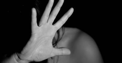В Битцевском лесу изнасиловали 14-летнюю дочь известной рок-певицы - reendex.ru - Москва - респ. Адыгея