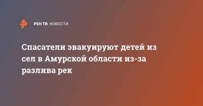 Спасатели эвакуируют детей из сел в Амурской области из-за разлива рек - ren.tv - Амурская обл. - Благовещенск - район Белогорский