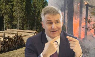 Артур Парфенчиков - «Эти все пасквили»: губернатор Карелии встал на защиту арендаторов лесов, которых заподозрили в поджогах - gubdaily.ru - республика Карелия