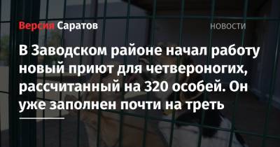 Роман Бусаргин - В Заводском районе начал работу новый приют для четвероногих, рассчитанный на 320 особей. Он уже заполнен почти на треть - nversia.ru - Саратов
