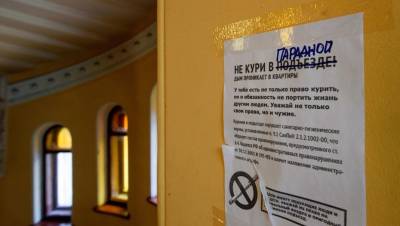 Петербуржцы в июле активно жаловались на насекомых и плохую уборку парадных - dp.ru - Петербурга