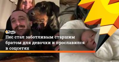 Пес стал заботливым старшим братом для девочки и прославился в соцсетях - ridus.ru - Англия