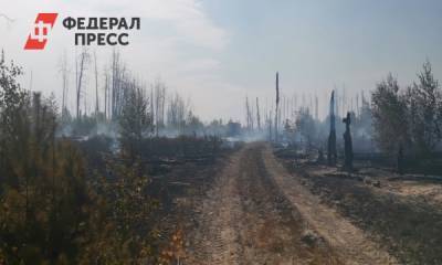 Дмитрий Краснов - Алексей Сафонов - Крупный пожар в Мордовии тушат специалисты из двух регионов - fedpress.ru - Россия - Нижегородская обл. - Нижний Новгород - Саранск - республика Мордовия