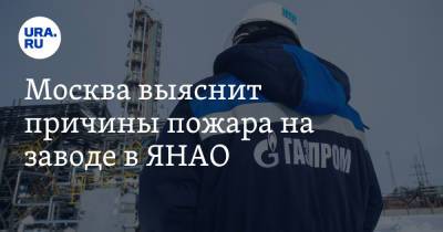 Москва выяснит причины пожара на заводе в ЯНАО - ura.news - Москва - окр. Янао