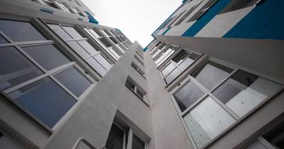 В Калининграде собака съела пятитысячную купюру, животное выбросили из окна - klops.ru - Россия - Калининград