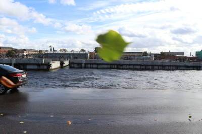 В пятницу ветер в Петербурге усилится до 16 м/с - neva.today - Санкт-Петербург