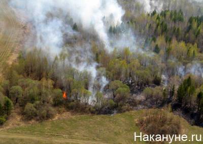 Десятки спасателей из ХМАО полетят в Якутию тушить лесные пожары - nakanune.ru - респ. Саха - Югра - район Ханты-Мансийский