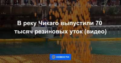 Анна Лысенко - В реку Чикаго выпустили 70 тысяч резиновых уток (видео) - news.mail.ru - шт. Иллинойс - Chicago