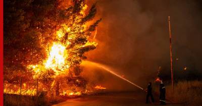 В Турции спасли от линчевания подозреваемых в поджогах лесов - profile.ru - Турция - провинция Мугла