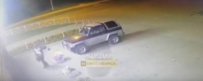 В НСО подростки разорили очередную клумбу - runews24.ru - Новосибирск - Краснообск
