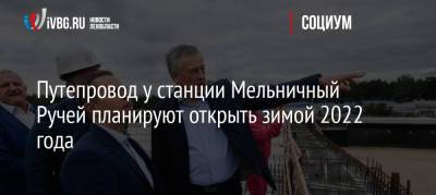 Александр Дрозденко - Путепровод у станции Мельничный Ручей планируют открыть зимой 2022 года - ivbg.ru - Украина - Ленинградская обл. - Всеволожск