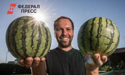 В каком российском регионе самые дешевые арбузы - fedpress.ru - Москва - Россия - Санкт-Петербург - Екатеринбург - Воронеж - Калининград