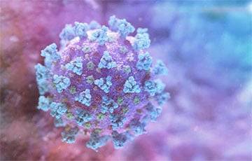 Коронавирус: новый лямбда-вариант опаснее дельта-мутации? - charter97.org - Белоруссия - Япония