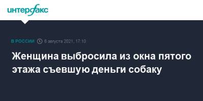 Женщина выбросила из окна пятого этажа съевшую деньги собаку - interfax.ru - Москва - Калининград